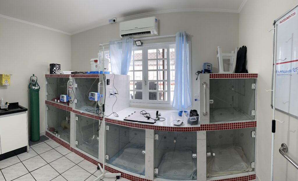 internação veterináriq