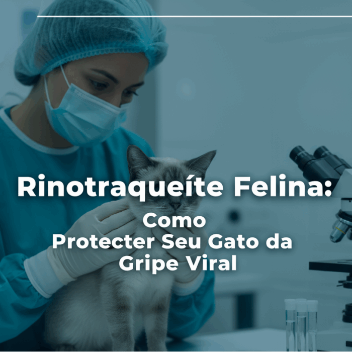 rinotraqueite felina